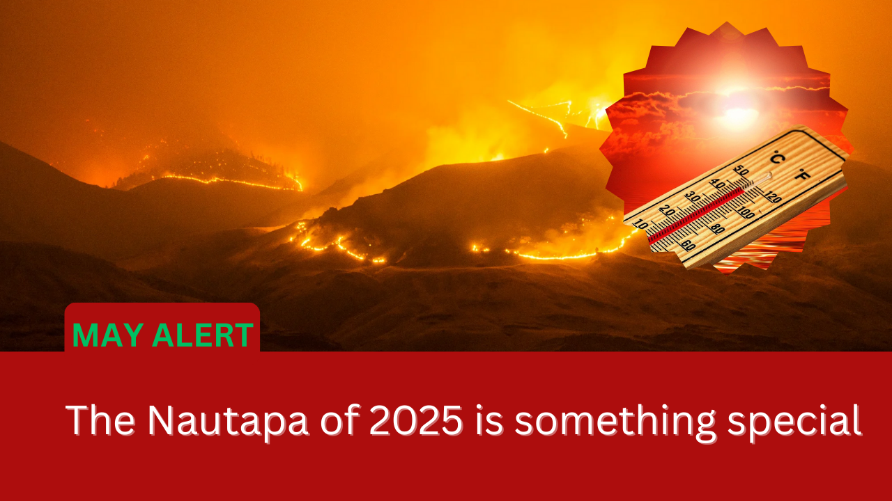 nautapa