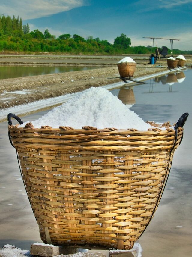 The disadvantages of eating too much salt will surprise you.