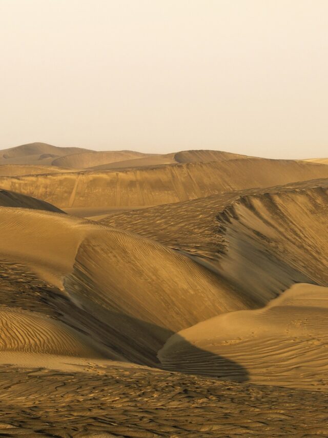 desert of rajasthan