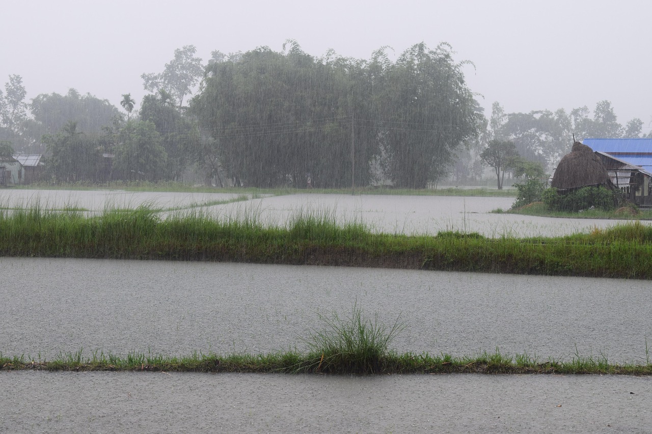 monsoon