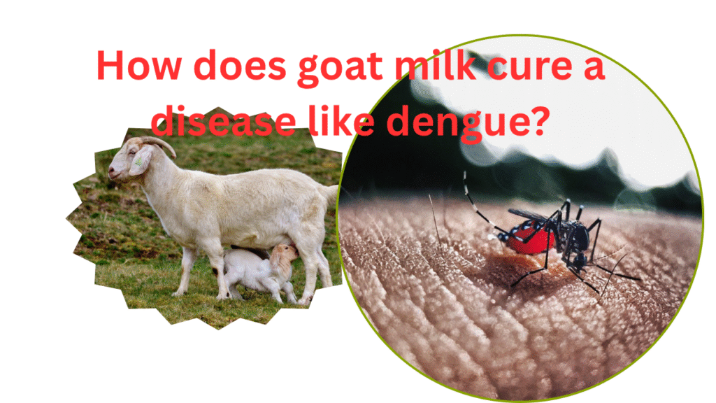 goat milk