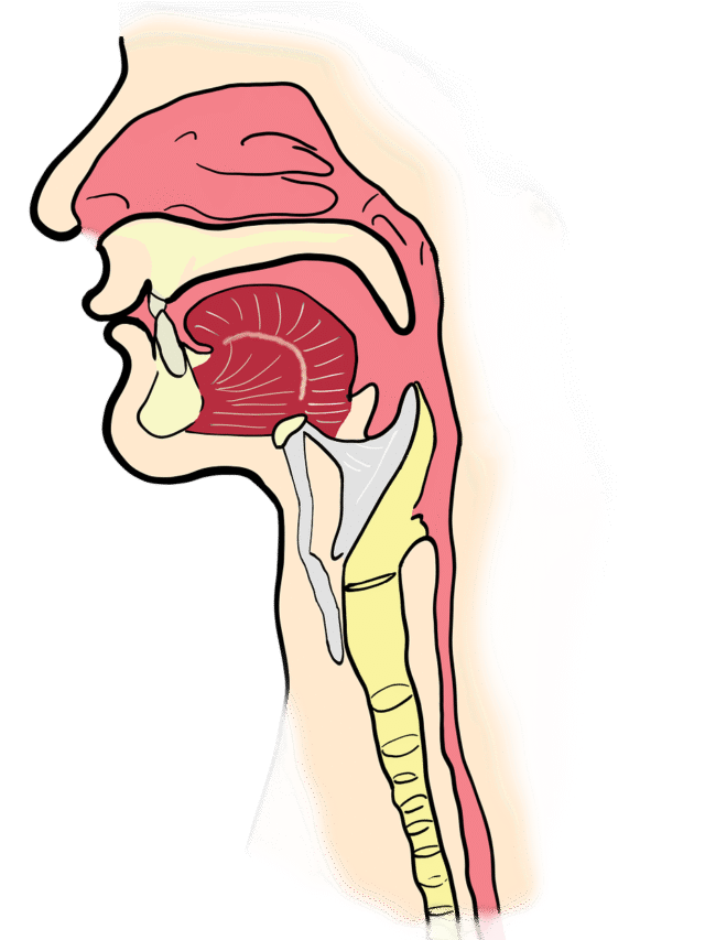 Identify oral cancer in its early stages with these 10 symptoms.